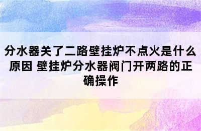 分水器关了二路壁挂炉不点火是什么原因 壁挂炉分水器阀门开两路的正确操作